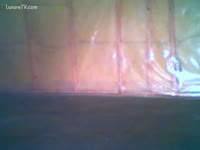 Masked slut on dog sex